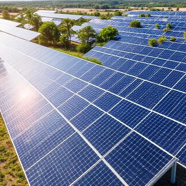 Solar panel farm representing a renewable energy investment