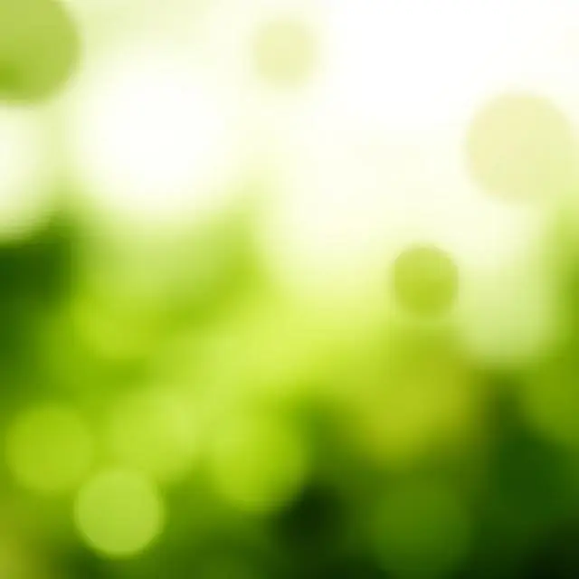 Abstract image for Apex Sustainable Leaders Fund